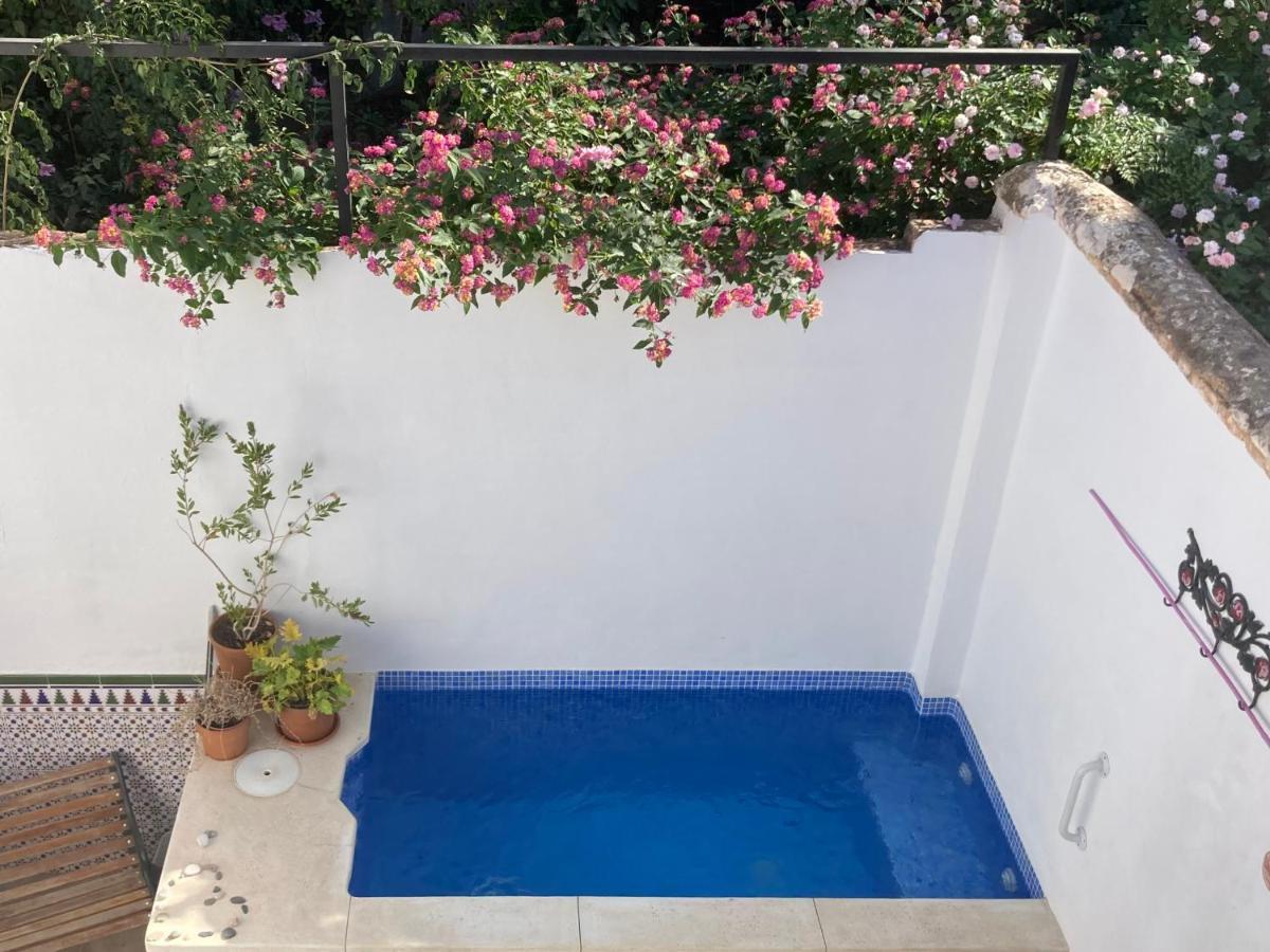 Ferienwohnung Casa Clemente 32, Private House With Plunge Pool Málaga Exterior foto